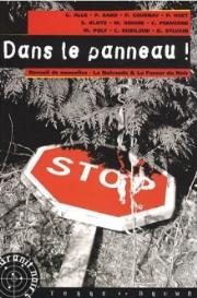 Dans le panneau